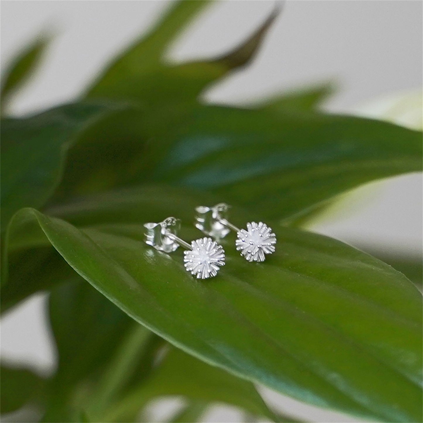 Sterling Silver 5mm Dandelion Flower Girls Stud Earrings Boxed - sugarkittenlondon