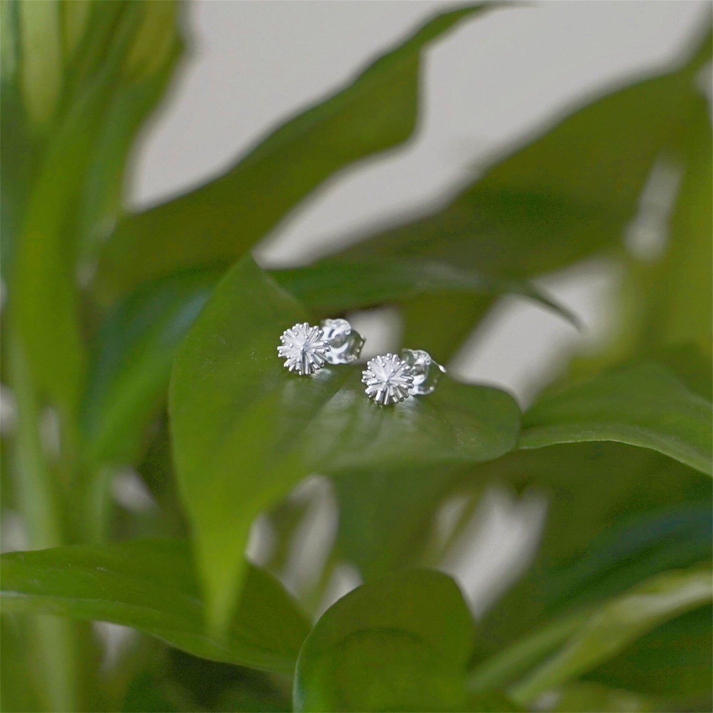 Sterling Silver 5mm Dandelion Flower Girls Stud Earrings Boxed - sugarkittenlondon