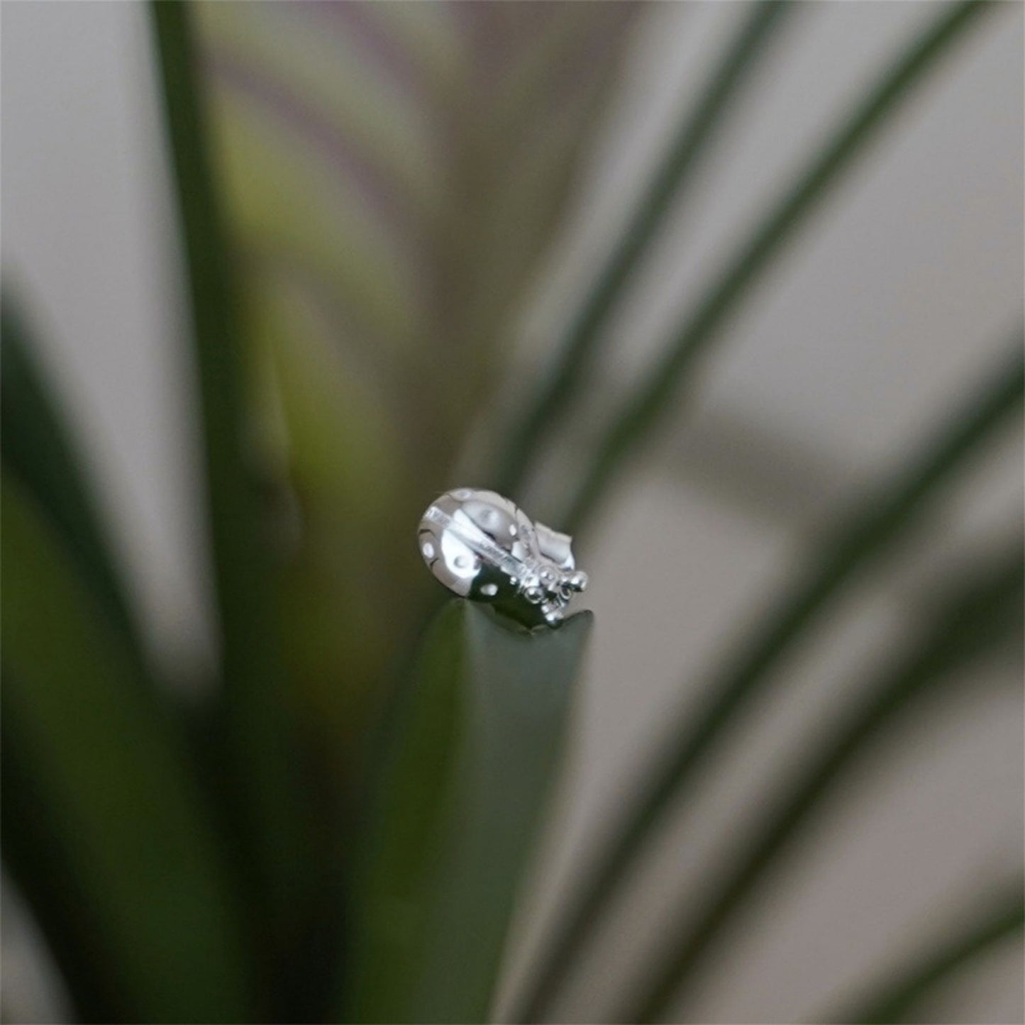 Sterling Silver Ladybug Ladybird Stud Earrings - sugarkittenlondon