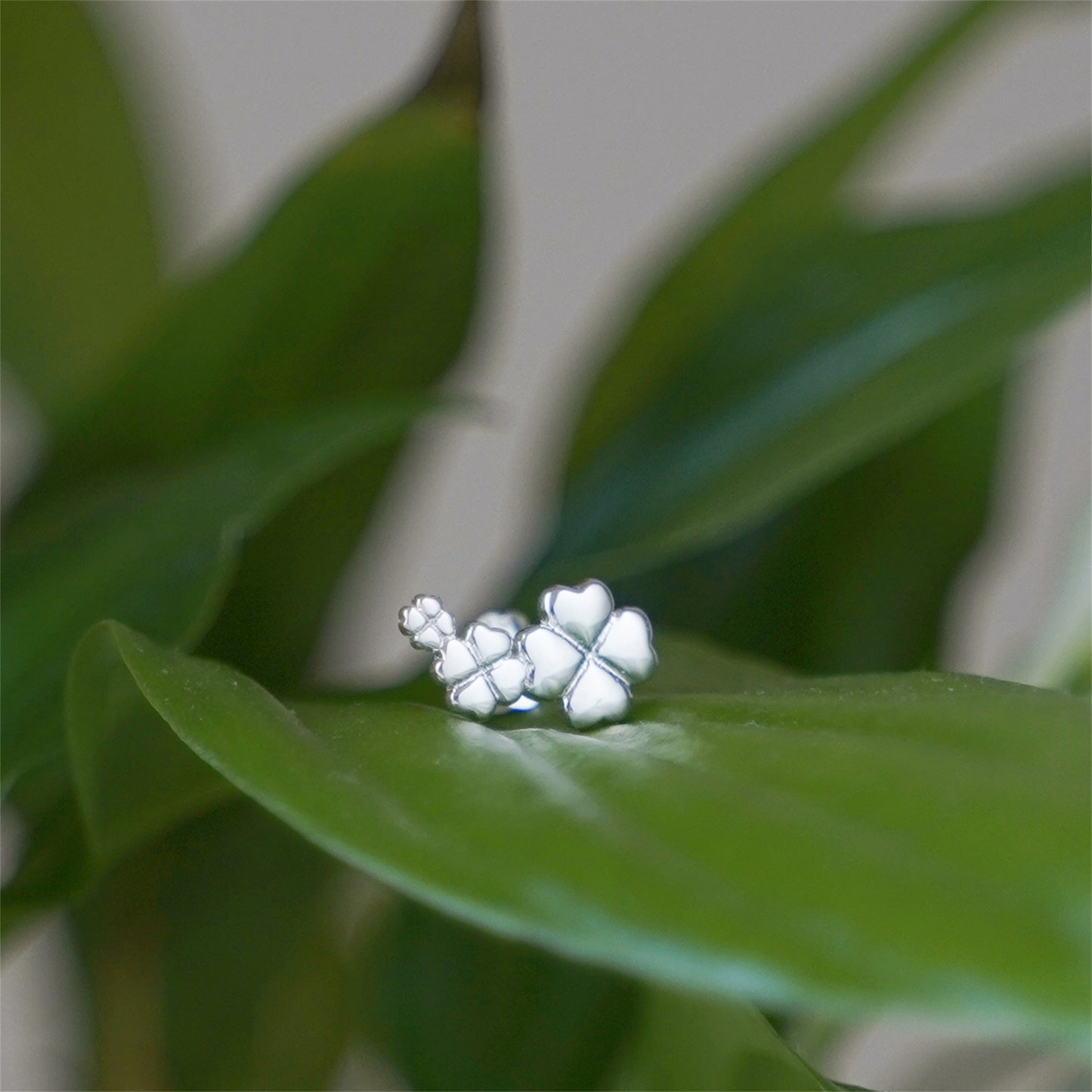 Sterling Silver Triple Glossy Clover Shamrock Flowers Climber Stud Earrings - sugarkittenlondon