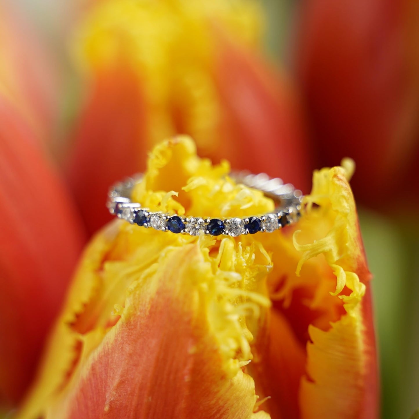 Sterling Silver Full Eternity 2mm Prong Set CZ White Blue Sapphire Band Ring