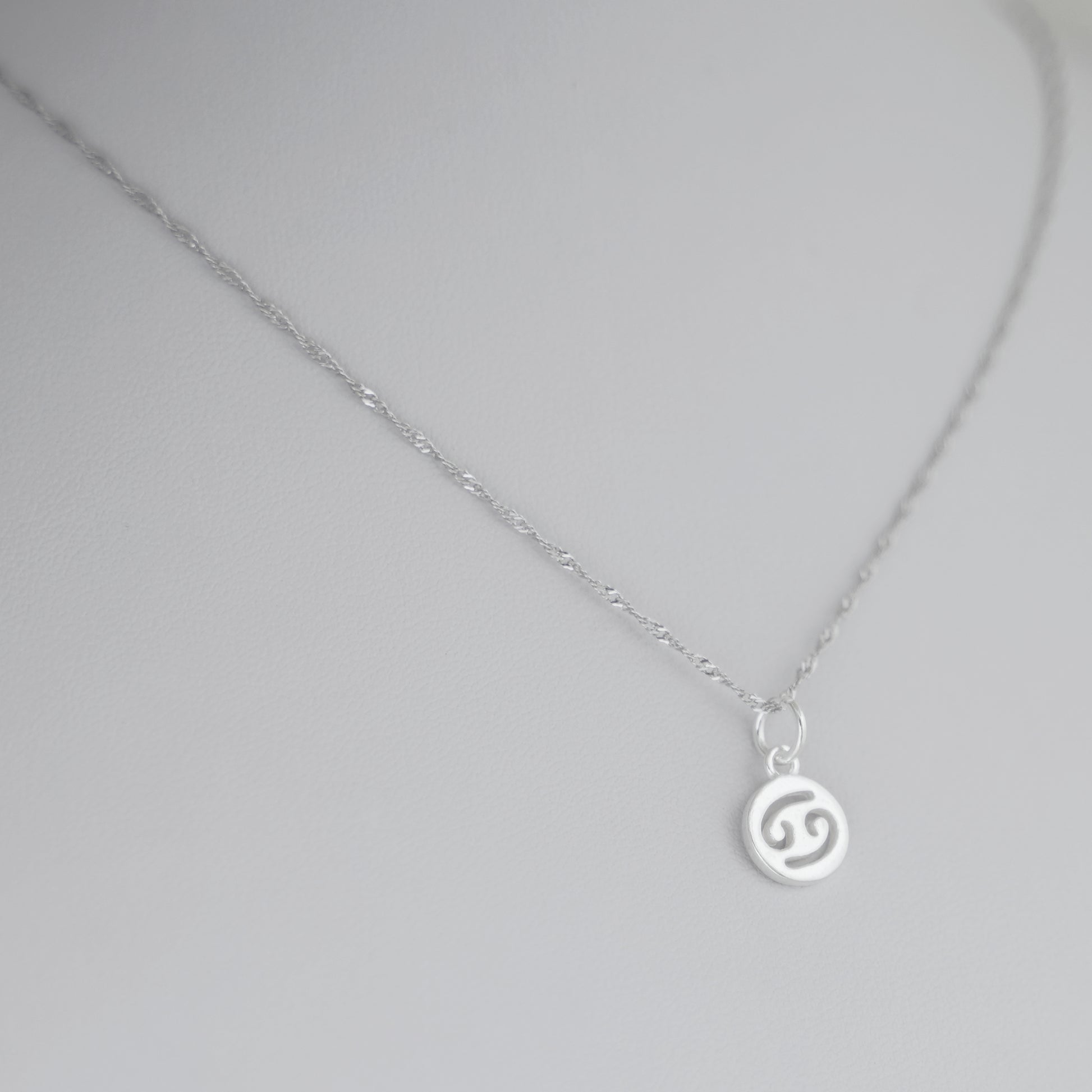 Sterling Silver 12 Monthly Horoscopes Zodiac Signs Disc Circle Charm Pendant - sugarkittenlondon